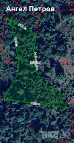 Гора село Долна Бела Речка, общ. Вършец, снимка 3 - Земеделска земя - 54078046