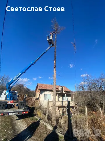 Рязане на опасни дървета, снимка 9 - Дърводелски услуги - 45384515