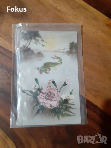 Стара пощенска картичка N 10