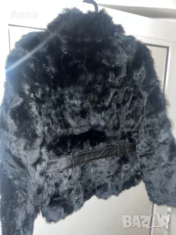 Яке Polo Grage – Оригинално и стилно, снимка 2 - Якета - 50115905