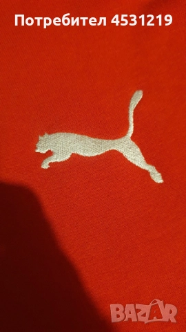 Зимно яке  Scotch Shrunk и суитчер Puma Scuderia Ferrari , снимка 9 - Якета - 52395690