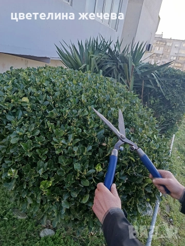 Ножици за храсти , снимка 4 - Градински инструменти - 53023641