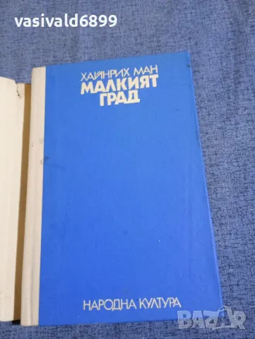 Хайнрих Ман - Малкият град , снимка 4 - Художествена литература - 50328006