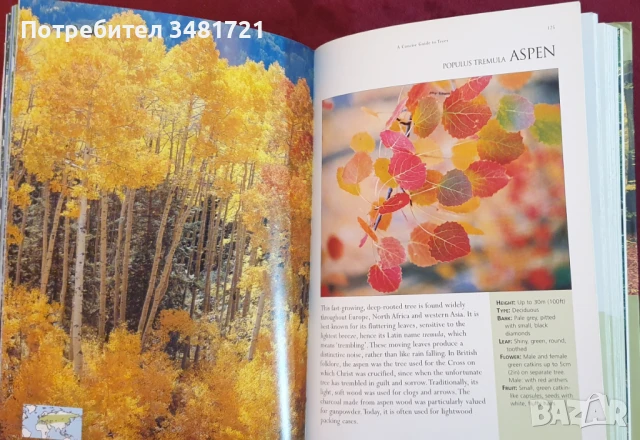 Справочник на дърветата по света / A Concise Guide to Trees, снимка 6 - Енциклопедии, справочници - 50869544