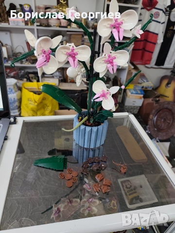 Лего 10311/10280/10281 Lego Botanicals, снимка 10 - Конструктори - 52639601