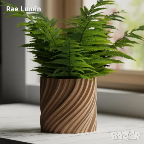 Саксия – усукана, снимка 1