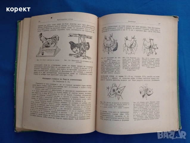 Физиология на селскостопанските животни с основи на анатомията , снимка 10 - Други - 53076336