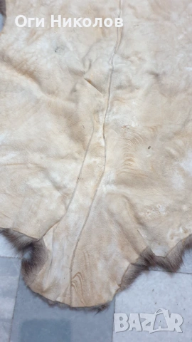 Дивечова кожа, снимка 6 - Антикварни и старинни предмети - 53218482