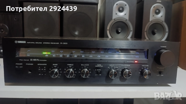 YAMAHA NS SERIES R 300