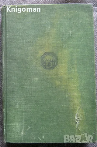 One Thousand Evangelistic Illustrations 1921 , снимка 5 - Чуждоезиково обучение, речници - 49814158