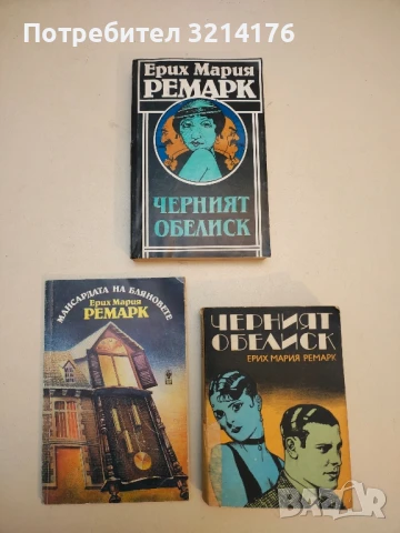 Искрица живот - Ерих Мария Ремарк, снимка 2 - Специализирана литература - 50495401