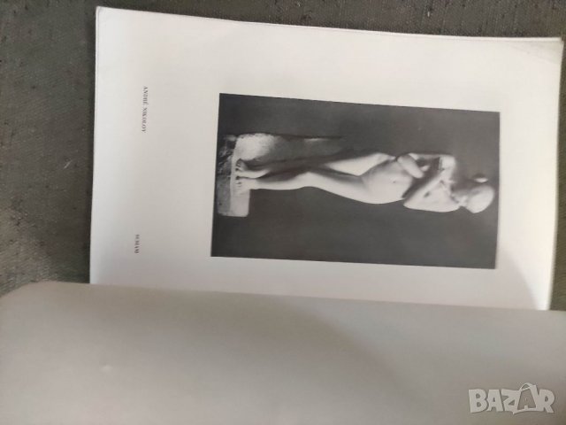 Продавам книга "ausstellung bulgarischer künstler in deutschland 1941/1942, снимка 4 - Други - 38339111