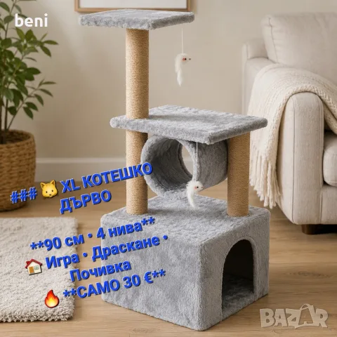 Щури игри за вашите любимци 