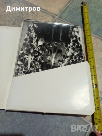 Стари снимки от асамблеята знаме на мира от 1979г, снимка 3 - Антикварни и старинни предмети - 51192742