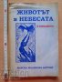 Животът в небесата в отвъдното Марсия Малинова - Антони