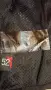 Dainese мъжко мото яке 52L размер , снимка 7