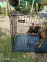Мобилна клетка за куче , снимка 3