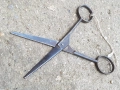Френска ножица, снимка 2