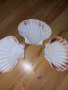 Големи черупки от миди, снимка 2