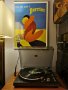 Рекламен постер на Perrier на художника график Bernard Villemot размер 50/70+ рамка Ikea, снимка 1 - Други - 39071423