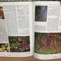 Енциклопедия A-Z of Annuals, Biennials & Bulbs (Successful Gardening), снимка 5 - Енциклопедии, справочници - 30873162