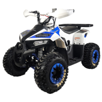 ATV на бензин 125 кубика MUDHAWK - Blue, снимка 4 - Мотоциклети и мототехника - 44776509