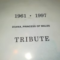 DIANA PRINCESS OF WALES-TRIBUTE X 2CD 0909221933, снимка 5 - CD дискове - 37952831