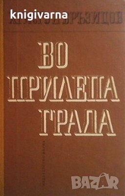 Во Прилепа града Христо Д. Бръзицов, снимка 1