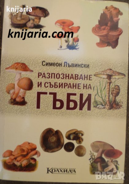 Разпознаване и събиране на гъби, снимка 1