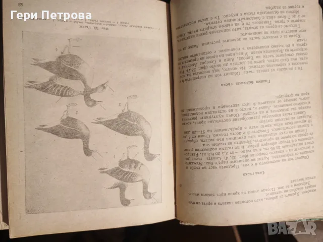 Наръчник на ловеца и риболовеца“, съставено от авторски колектив, снимка 4 - Специализирана литература - 56134168
