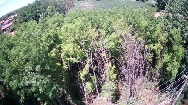 Имот 2,78 дка с ток, вода и постройки в с. Обнова, снимка 5 - Парцели - 50583793