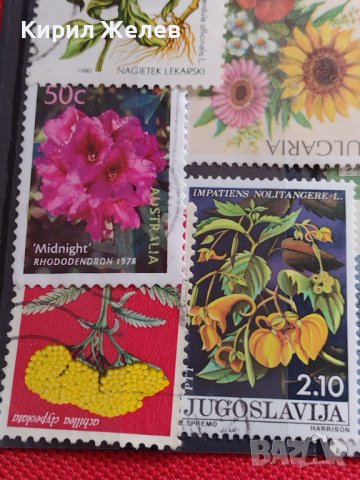 Пощенски марки смесени ЦВЕТЯ от цял свят перфектно състояние за КОЛЕКЦИЯ 22632, снимка 4 - Филателия - 40364561