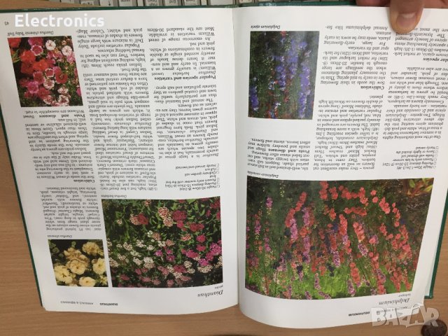 Енциклопедия A-Z of Annuals, Biennials & Bulbs (Successful Gardening), снимка 5 - Енциклопедии, справочници - 30873162