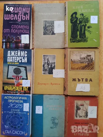 Книги за свободното време , снимка 13 - Художествена литература - 53875244