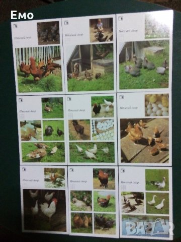 За Ценители и Колекционери! Изключително редки и отлично запазени руски комплекти картички(2)!, снимка 10 - Колекции - 31366942