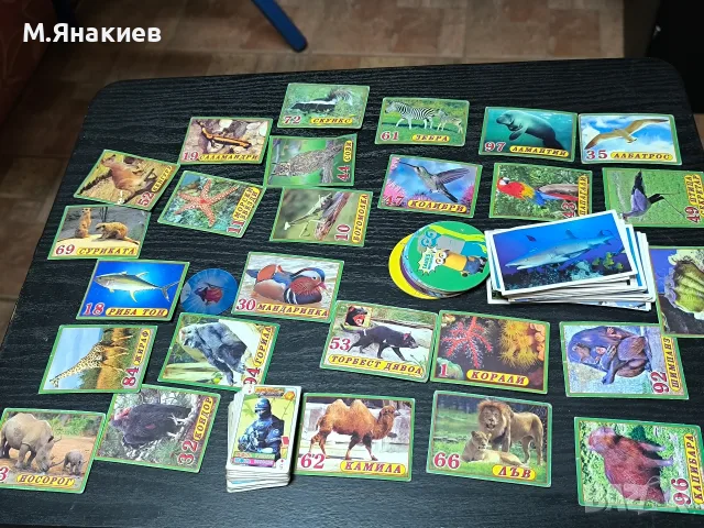 Различни фигурки и карти с животни, снимка 5 - Фигурки - 55971578