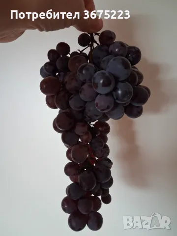 Грозде Хамбургски мискет, снимка 2 - Домашни продукти - 56171920