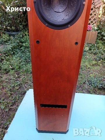Тонколони Hi-End Usher V-602, снимка 12 - Тонколони - 52171299