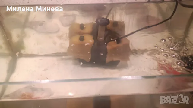 Аквариум,42литра с рибки, снимка 2 - Аквариуми - 56024025