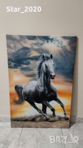 Светеща картина с LED осветление - Белият кон