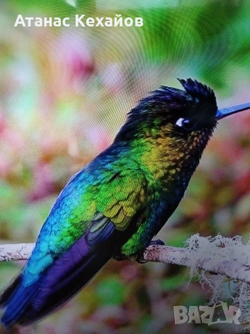 TV Samsung , снимка 3 - Телевизори - 53888815