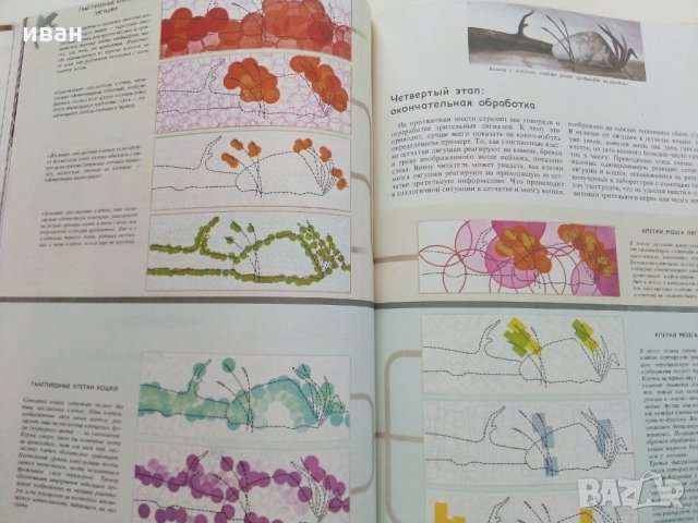Поведение животных - Н.Тинберген, снимка 8 - Енциклопедии, справочници - 30433762