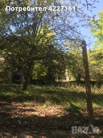 Селска къща, снимка 6 - Къщи - 51512118