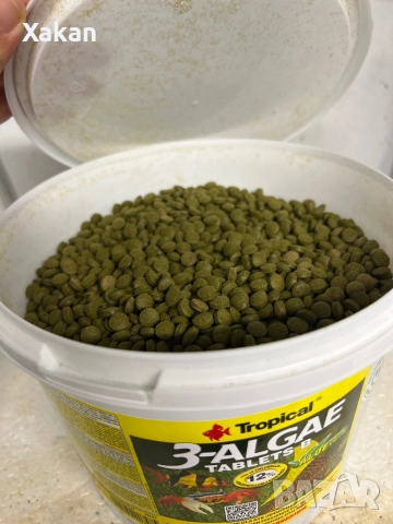 Tropical 3-ALGAE TABLETS B 12% FALLO Evera- растителна основа, снимка 2 - Други - 48640618