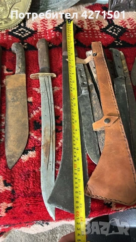 Маче Немски , снимка 4 - Други услуги - 53933861