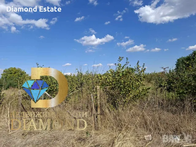 Парцел в село Ястребово, общ. Опан, снимка 5 - Парцели - 56096709