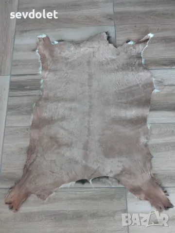 Естествена ,екзотична кожа от Африка., снимка 2 - Декорация за дома - 47382434