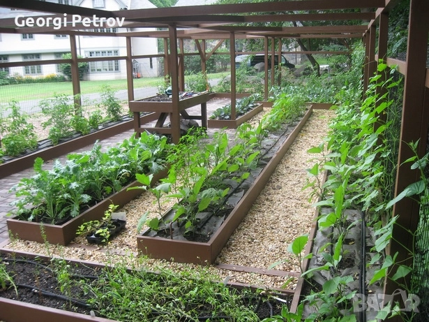 Биотор ( хумус ) за градина от Калифорнийски червей , снимка 2 - Тор и почвени смеси - 52102277