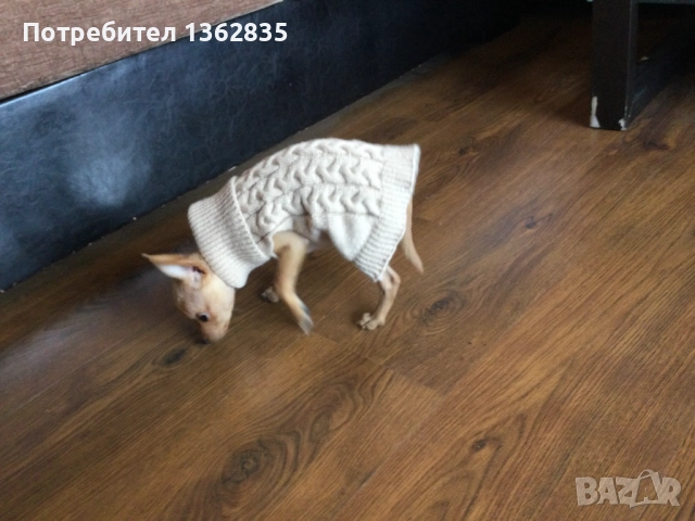 НОВ топъл бежов зимен луксозен пуловер за куче от Италия S и M размер, снимка 2 - За кучета - 51929468