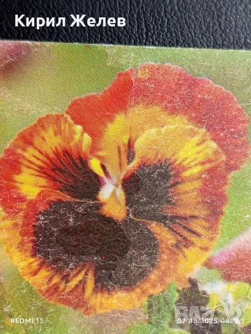 Старо календарче 86г. серия цветя много красиво за КОЛЕКЦИЯ ДЕКОРАЦИЯ 72791, снимка 2 - Колекции - 51223690